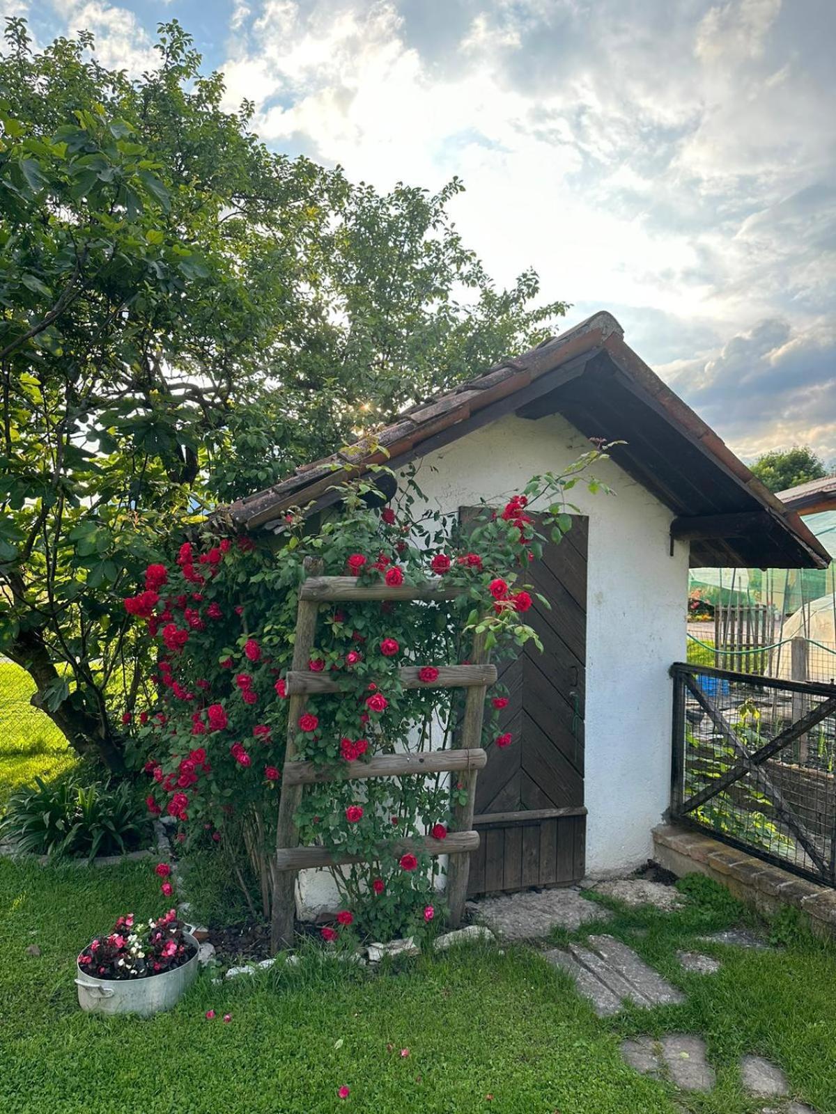 Casa Giovannella 费尔特雷 外观 照片